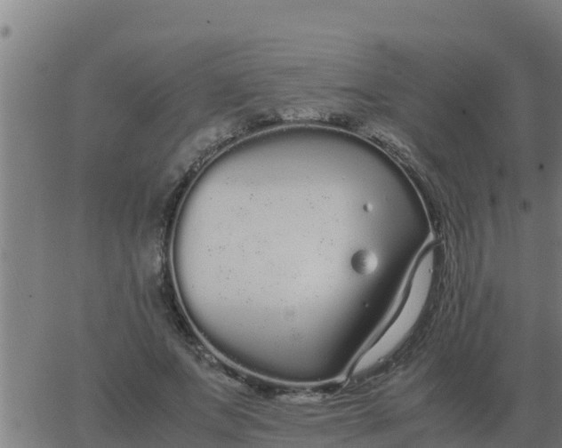 X0000062850687200601272042