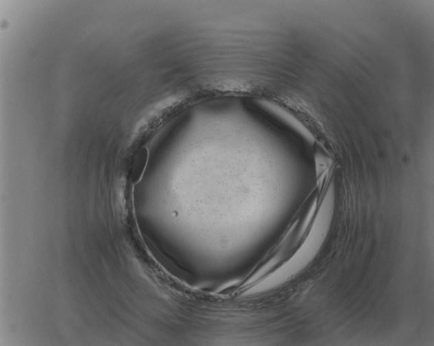 X0000062850688200601272042