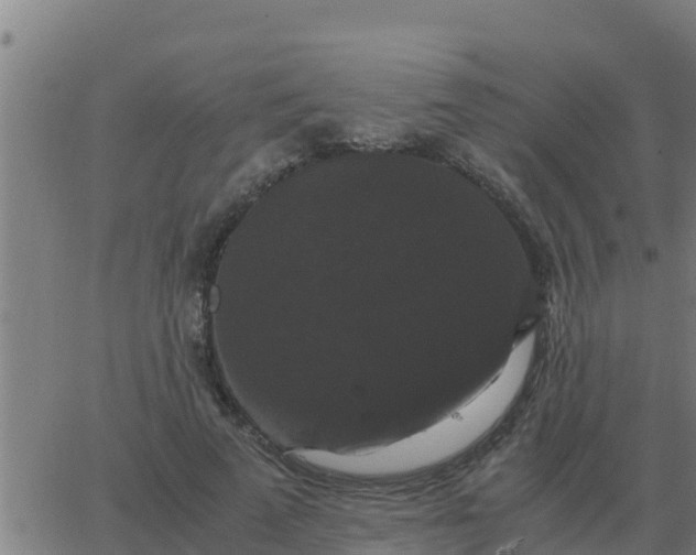 X0000062850689200601272042