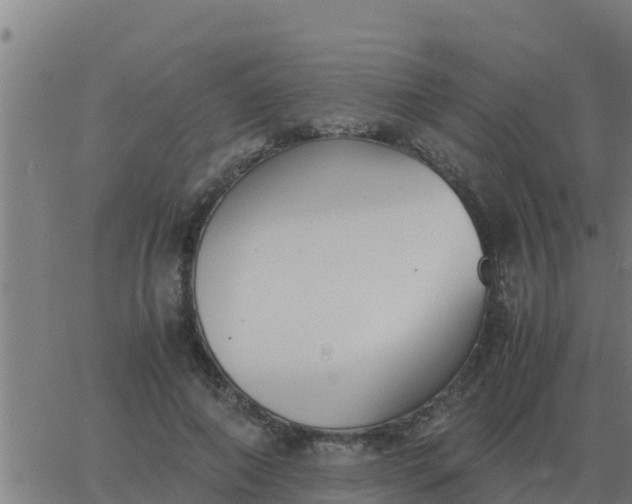 X0000062850690200601272042