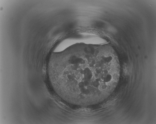 X0000062850691200601272042