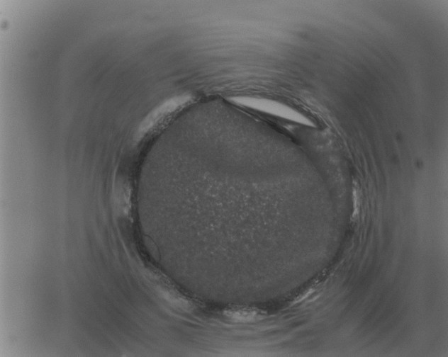 X0000062850693200601272042