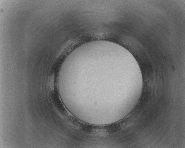 X0000062850694200601272042