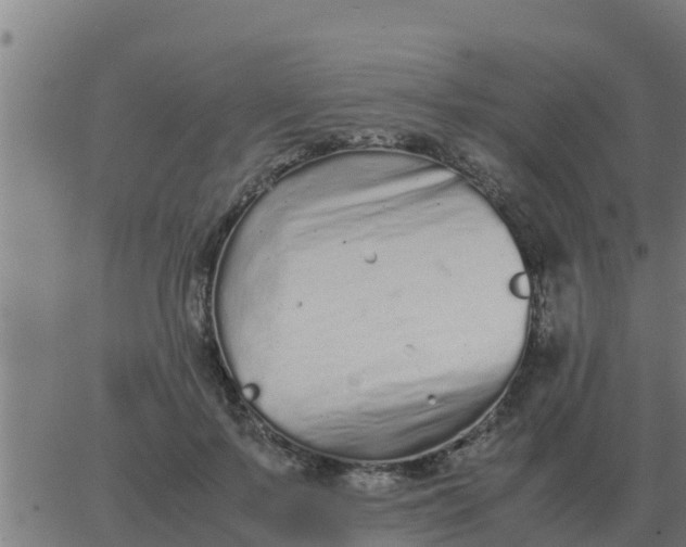 X0000062850695200601272042