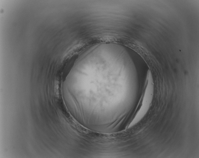 X0000062850696200601272042