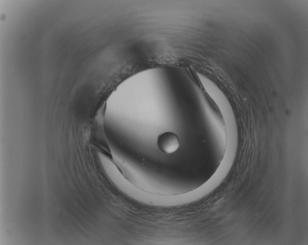 X0000062850697200601272042