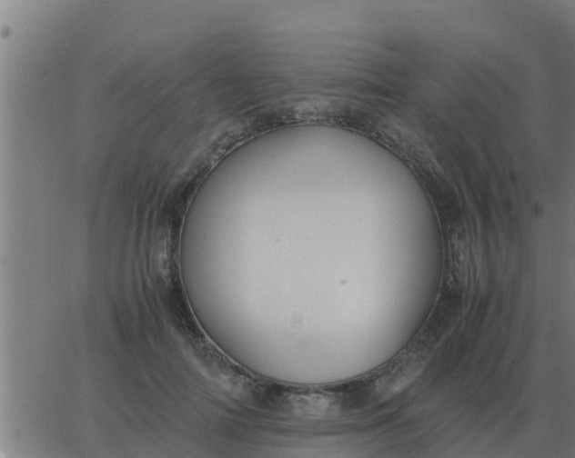 X0000062850698200601272042