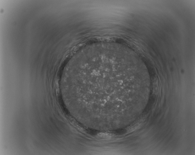 X0000062850699200601272042