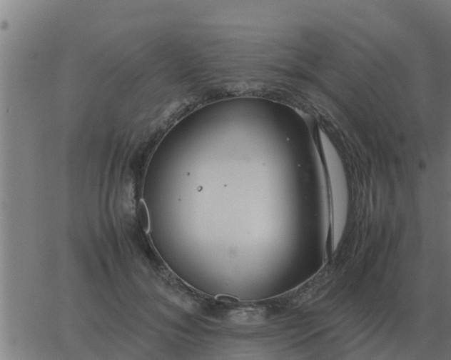 X0000062850700200601272042