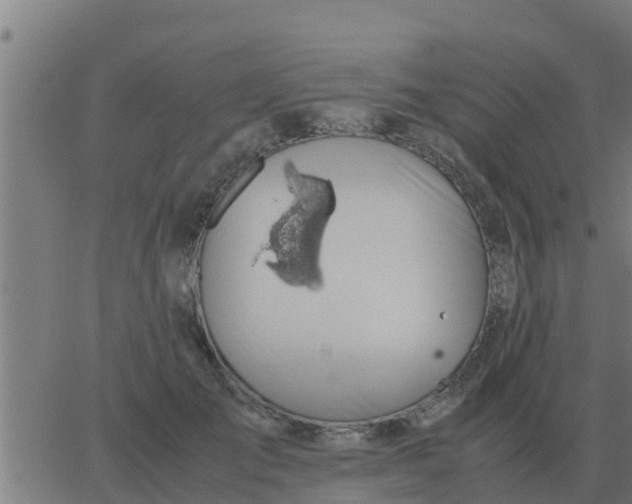 X0000062850701200601272042