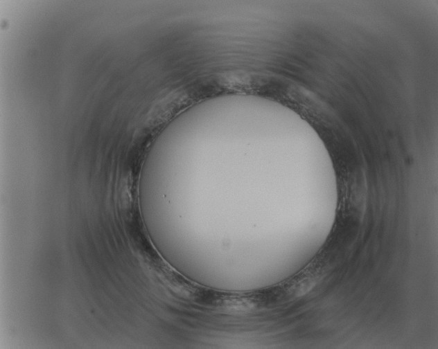 X0000062850702200601272041