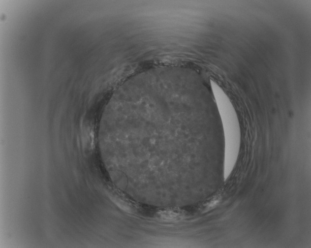 X0000062850703200601272041