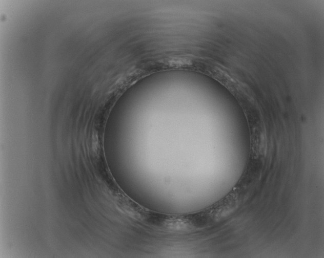 X0000062850704200601272041