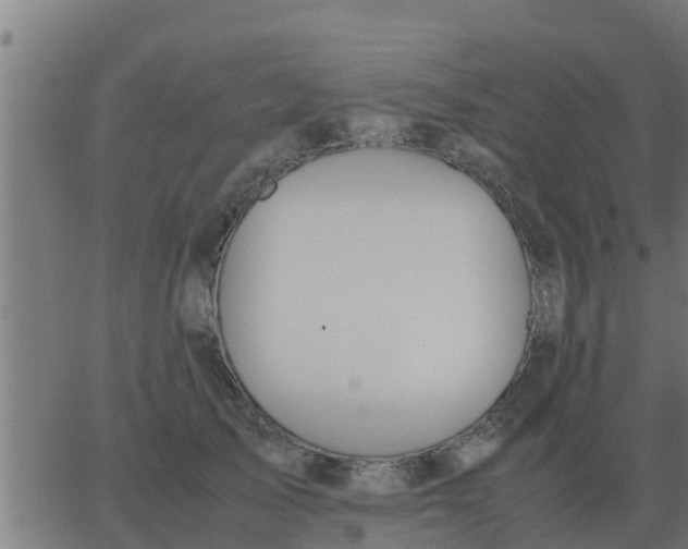 X0000062850705200601272041