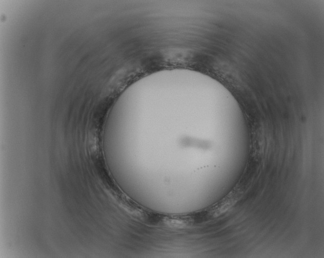 X0000062850706200601272041