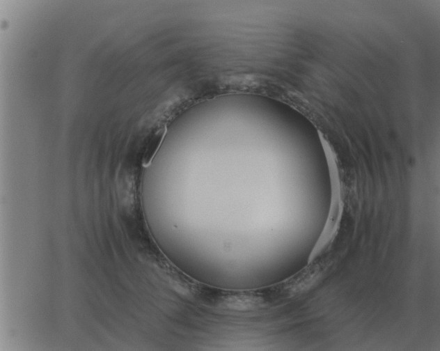 X0000062850708200601272041