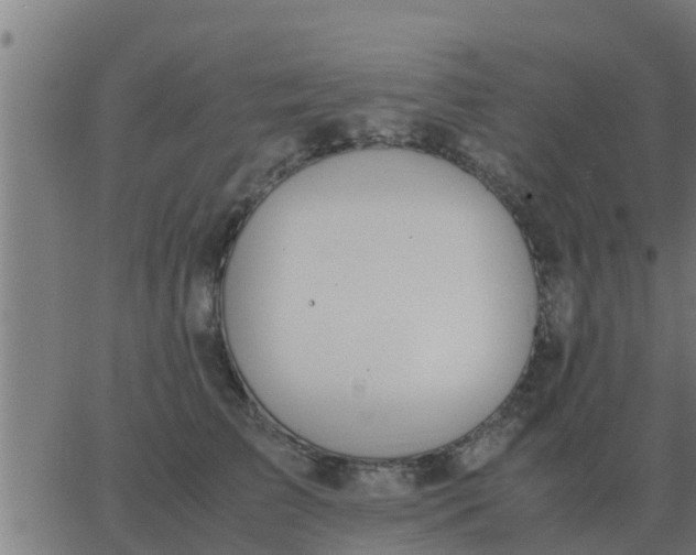 X0000062850709200601272041