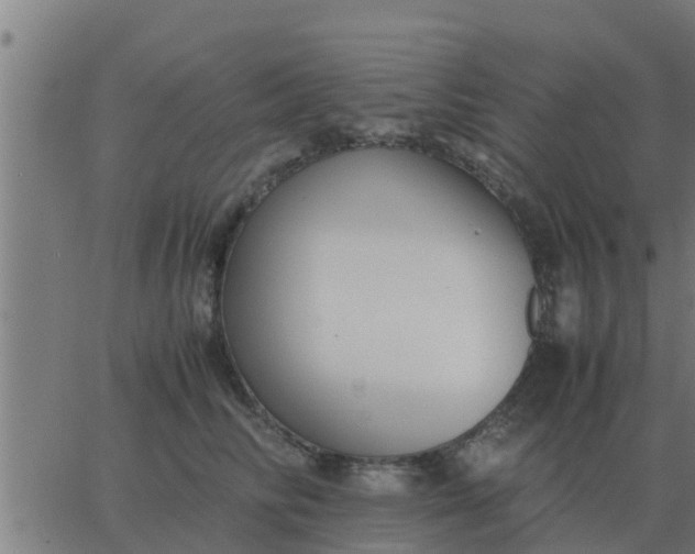 X0000062850710200601272041