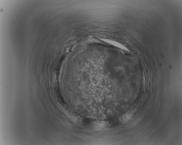 X0000062850711200601272041