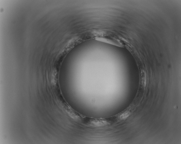 X0000062850712200601272041