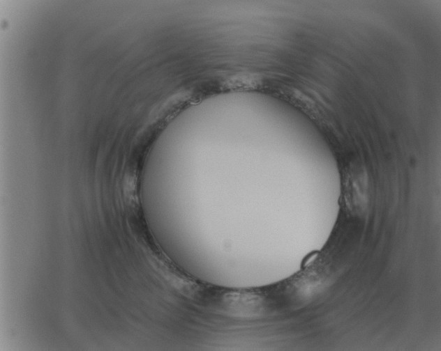 X0000062850714200601272041