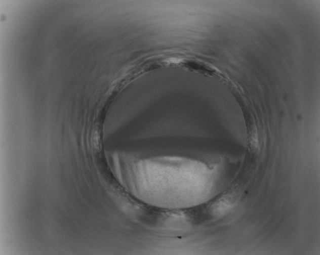 X0000062850715200601272041