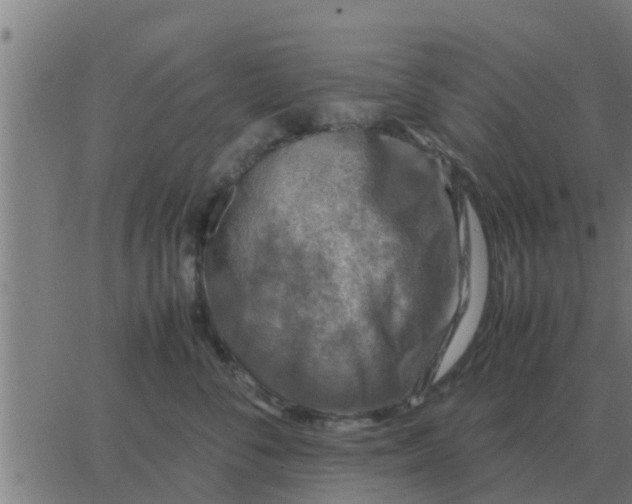 X0000062850716200601272041