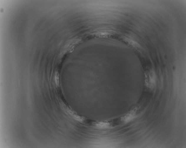 X0000062850718200601272041