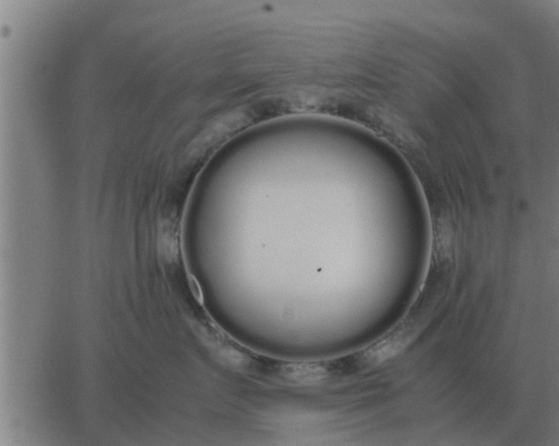 X0000062850719200601272041