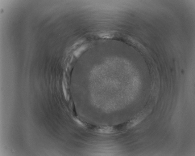 X0000062850720200601272041