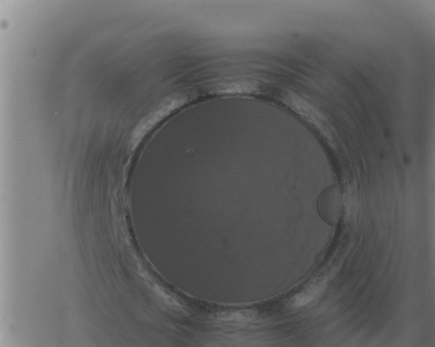 X0000062850721200601272040