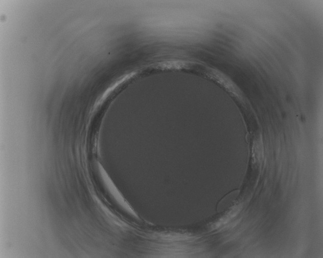 X0000062850722200601272040