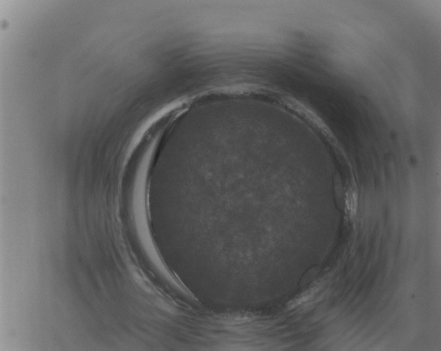 X0000062850724200601272040