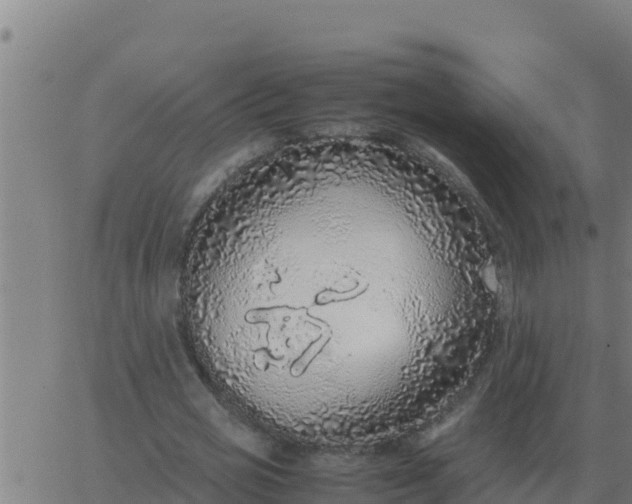 X0000062850725200601272040