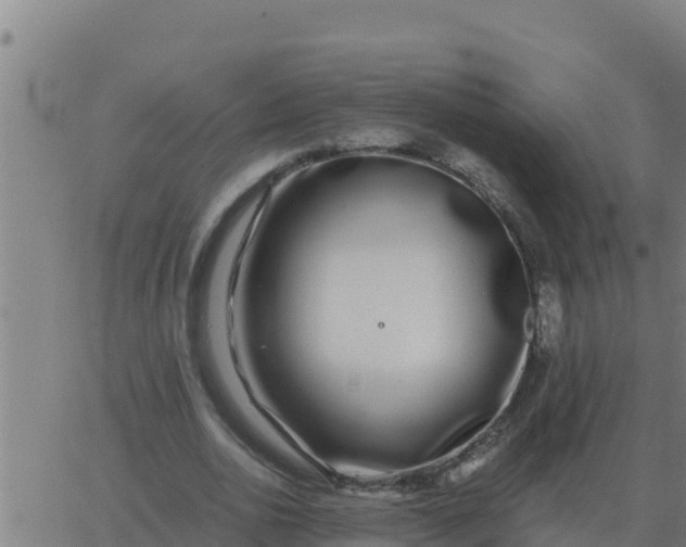 X0000062850726200601272040