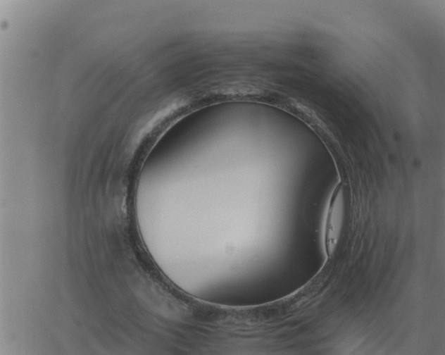 X0000062850727200601272040