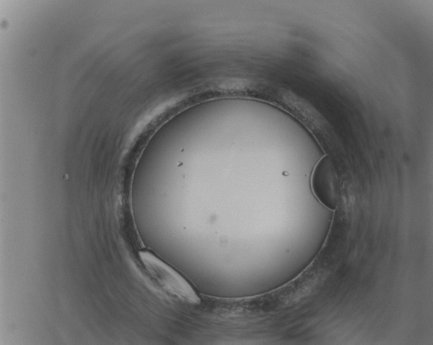 X0000062850728200601272040