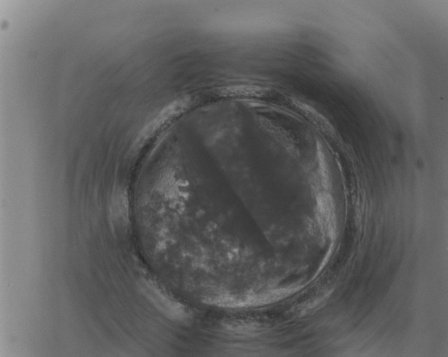 X0000062850729200601272040