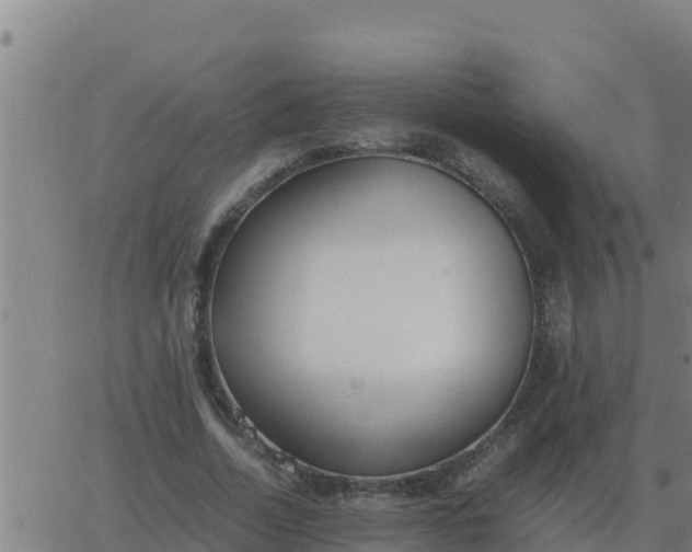 X0000062850730200601272040