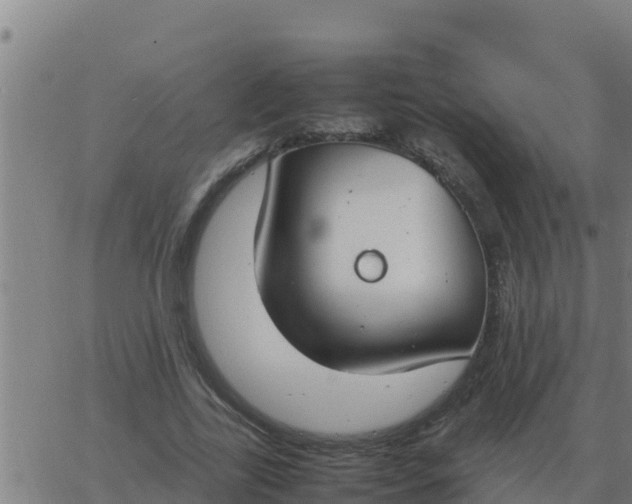 X0000062850731200601272040