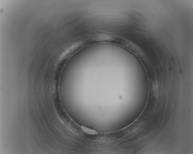 X0000062850732200601272040