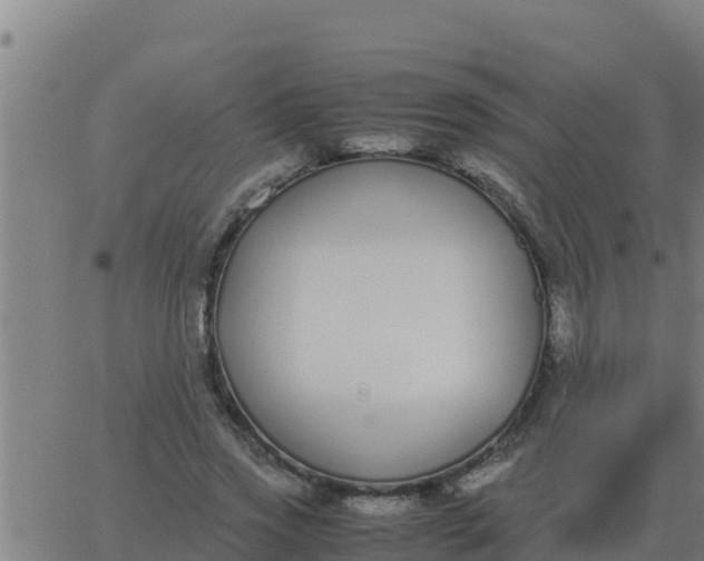 X0000062850733200601272041