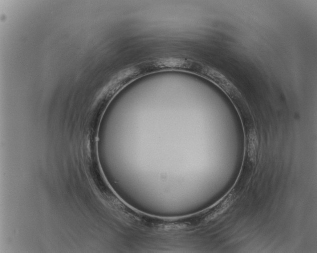 X0000062850734200601272041