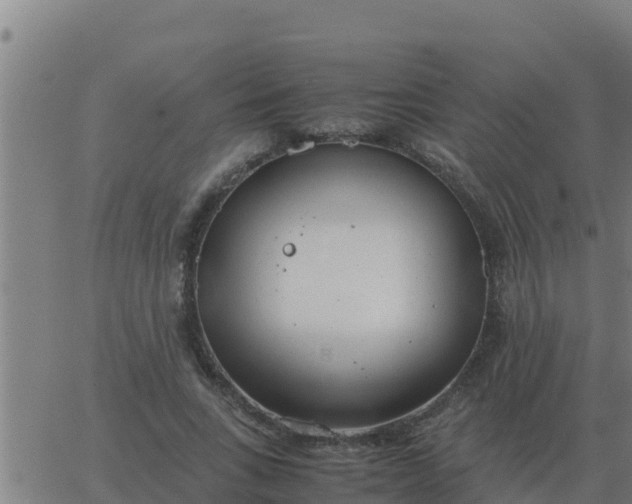 X0000062850735200601272041