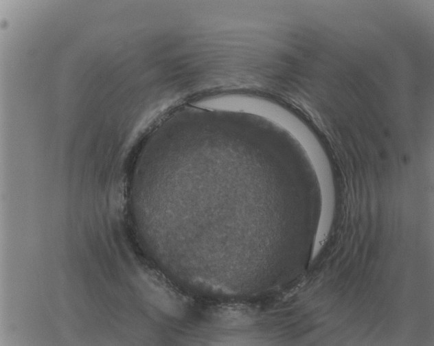 X0000062850736200601272041