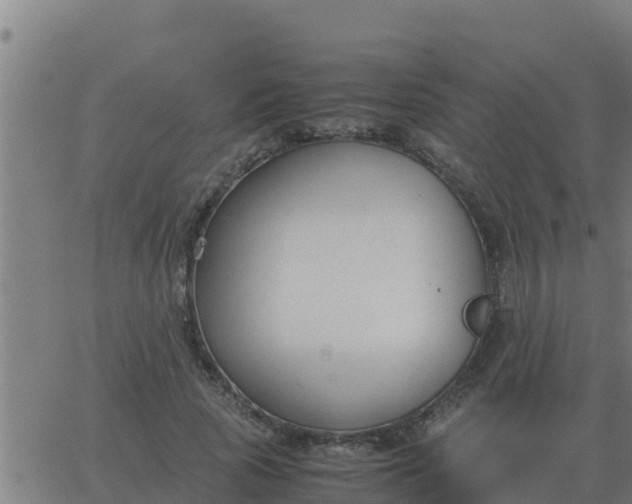 X0000062850737200601272041