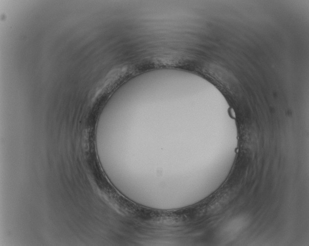 X0000062850738200601272041