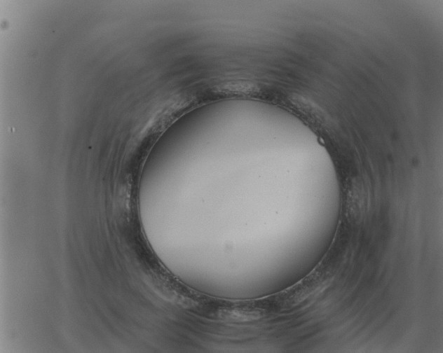 X0000062850739200601272041