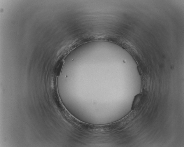 X0000062850740200601272041