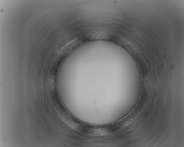 X0000062850741200601272041